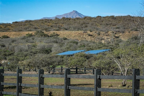 Imagen 7 de 28 de Agrícola En Venta En Zapallar