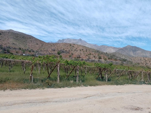 Imagen 4 de 20 de Predio Agua Amarilla, Monte Patria