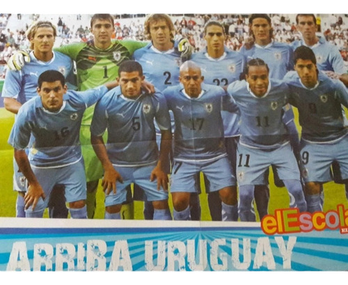 Poster Selecion Uruguaya La Celeste   58 X 45