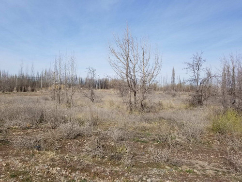 Imagen 7 de 11 de Terreno En Venta Barrio Rincón Lindo Plottier, Nqn