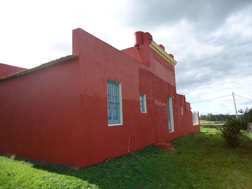 Campo En Venta En Lavalleja. 37 Hectáreas.
