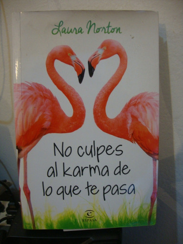 No Culpes Al Karma De Lo Que Te Pasa - Laura Norton