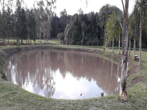 Chácara 10.000 M² - Pega Fogo - Taquara - Rs - 2070 - 33675674