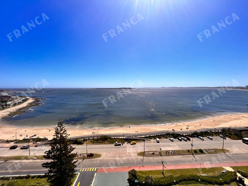 Excelente Dpto En Alquiler Con Vista A La Isla. (ref: Fro-481)