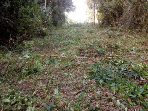Imagem 10 de 10 de Terreno A 500 Metros Do Rio Em Itanhaém - 6462