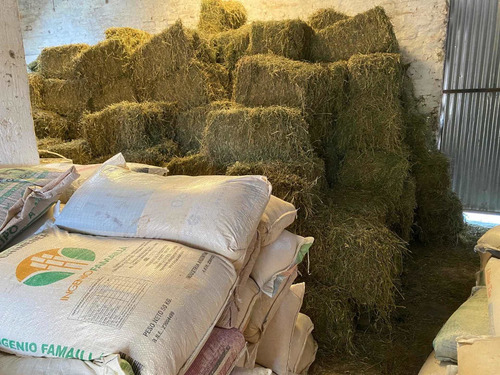 Fardos De Alfalfa