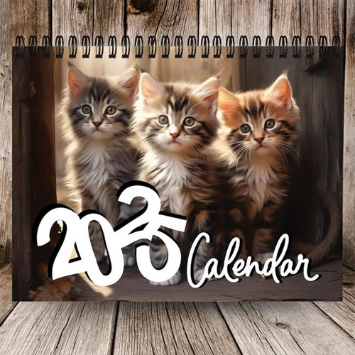 Calendario De Gatos Calendario Diario Calendario De Pared Me
