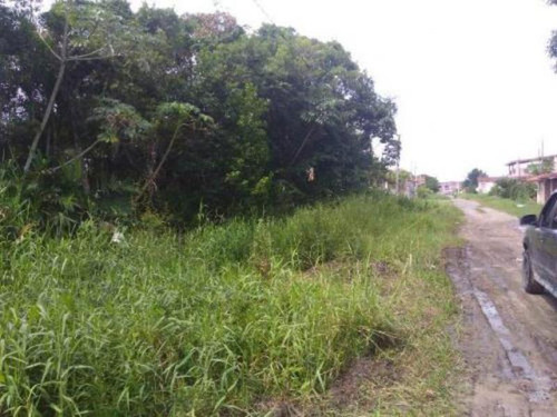 Ótimo Terreno De 286 Mts No Gaivota Em Itanhaém - 5157 | Npc