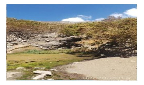 Agrícola En Venta En Monte Patria