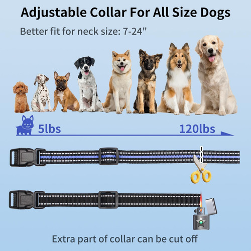 Collar De Entrenamiento Para Perros Peture, Combo Eléctrico