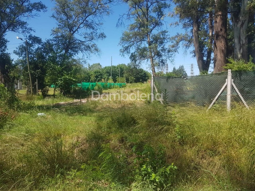 Imagen 4 de 7 de Terreno Lote En Venta Ubicado En General Rodríguez, G.b.a. Zona Oeste