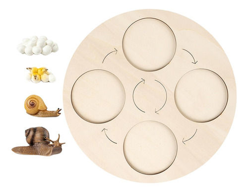 Montessori Growth Cycle Board Early Education Kids Snails