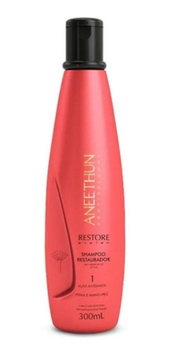 Aneethun Shampoo Restaurador Restore System Anti Danos 300ml
