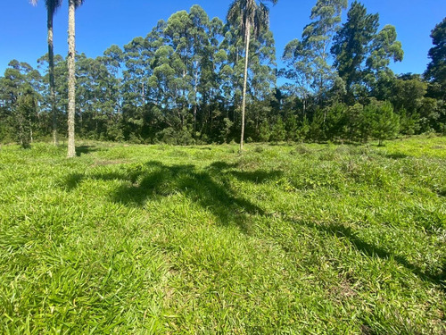 Imagem 3 de 6 de L22-lotes Para Você De Barueri