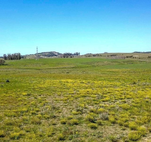 62 Hectáreas | Campo | Ruta 12 Km 14