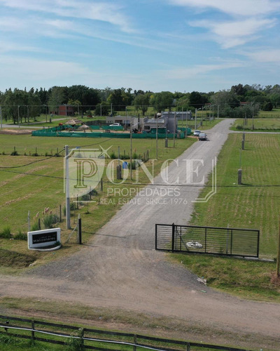 Terreno En Manzanares - Lomas De Manzanares