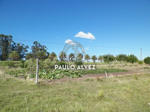 Imagen 20 de 22 de Chacras-venta-cerros-azules-ch064