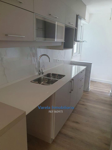 Apartamento Malvín Alquiler 2 Dorm Terraza Parrillero 2 Bañ