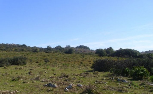 Terreno En Venta En San Vicente