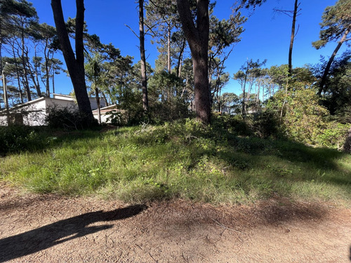 Lote En Venta (ref: Bpv-9687)