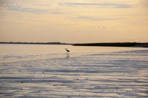 Hotel - Carmelo - Colonia - Uruguay - Venta Y Alquiler