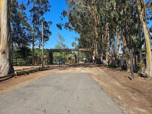 Hacienda Algarrobo, 5000 M2,portería, Rol, Red De Luz Y Agua
