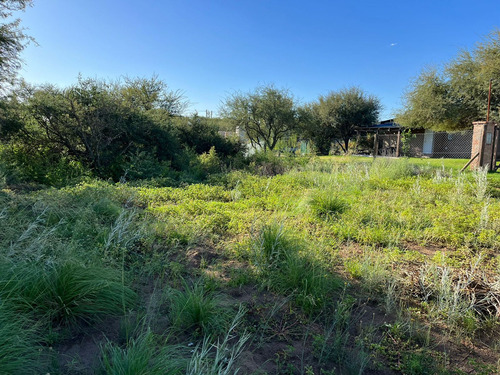 Venta Terreno En Saavedra Cortaderas , Toay L.p