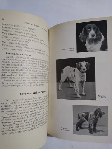 Perros De Rastro Y De Parada / Juan Roig (Usado)