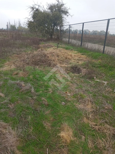Agrícola En Venta En Linares