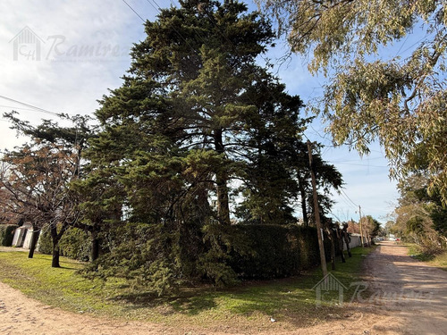 Lotes Terrenos En Venta 411 M2 A 300 Mts. Acceso Oeste - Francisco Alvarez, Moreno