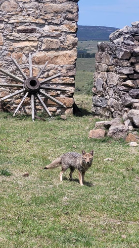 Chacras De 5 Hectarias Maldonado