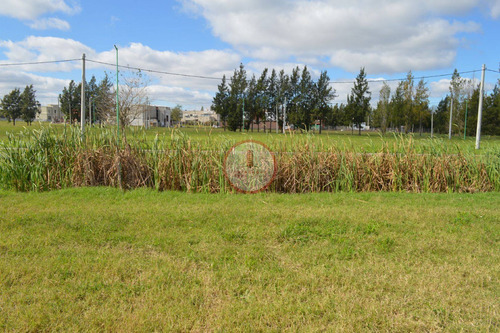 Imagen 8 de 30 de Terreno Lote En Venta Ubicado En Manuel B Gonnet, La Plata