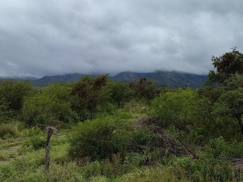 Imagen 11 de 30 de Terreno - Achiras