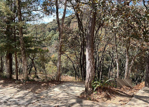 Lote En Venta , Excelente Ubicacion , En Fracc. Bosques Zumate