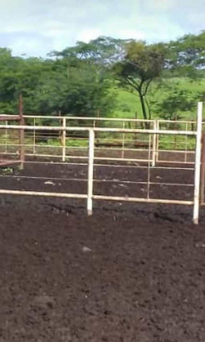 Imagen 6 de 7 de Se Vende Terreno Santa Maria Ipire Guarico Ve01-1434gu-mgue