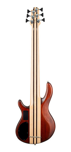 Contrabaixo 6c Cort Artisan A6 Plus Fmmh Opn Bartolini