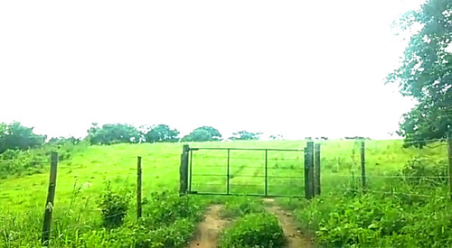 Imagem 1 de 2 de Sítio 18 Alq Cassia Dos Coqueiros - St00004 - 69014191
