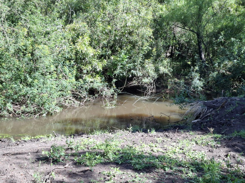 Venta Chacra 3 Dormitorios Fray Marcos Con Cochera