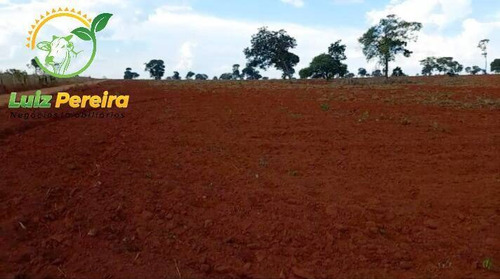 Imagem 3 de 8 de Fazenda À Venda No Vale Do Araguaia - To -4.260 Hectares (dupla Aptidão) - 2088