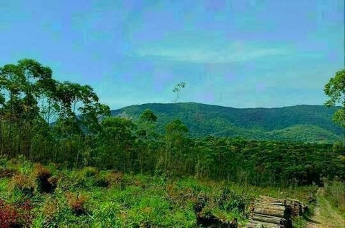 (k.a) R$30,000 A Vista 500m² Direto Com Proprietário