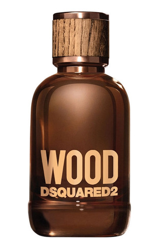 Perfume Importado Dsquared2 Wood Edt Pour Homme 100 Ml