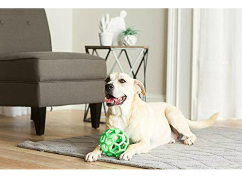 Jw Pet Tough By Nature Hol-ee Roller, Size 8, Assorted
