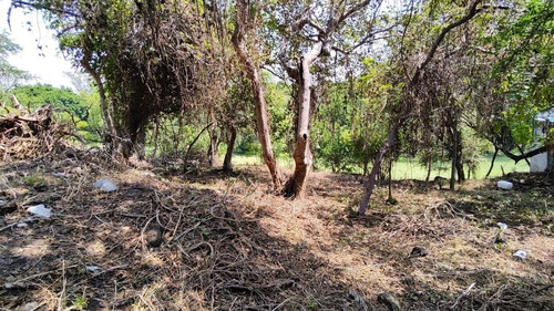 Imagen 16 de 23 de Terreno Venta Fraccionamiento Club De Golf Sta. Fe. M7 L1