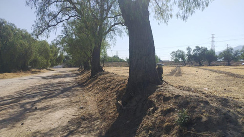Terreno En Teotihuacán, Edo. Méx. Sup. 30 Hectáreas