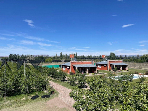 Bodega En Venta - 9 Dormitorios 4 Baños - Cocheras - 85.039mts2 - San Rafael, Mendoza