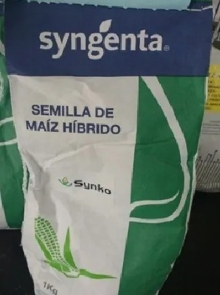 Semilla De Maiz Híbrido Synko