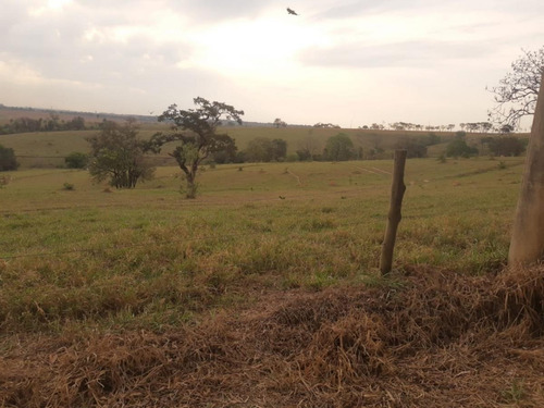 Imagem 6 de 11 de Terreno Em Bairro Aterrado, Monte Mor/sp De 30000m² À Venda Por R$ 6.800.000,00 - Te2325705-s