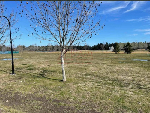 Imagen 6 de 11 de Venta De Lote 392 En Haras Del Sur 2