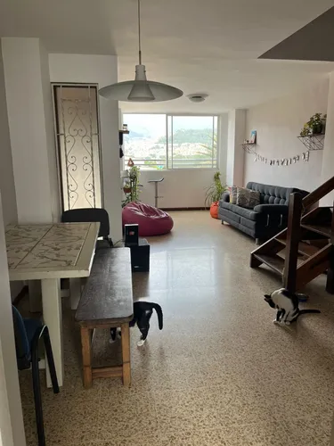 Se Arrienda Apartamento En Conquistadores