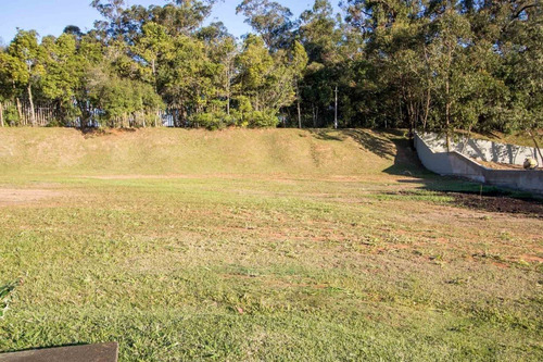 Terreno Em Belém Novo - Lu429223
